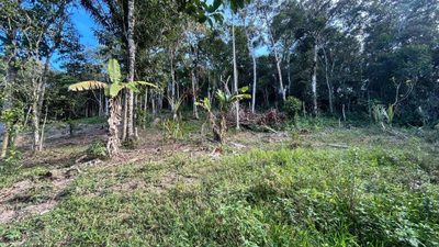Chácara, 6000 m² - Foto 2