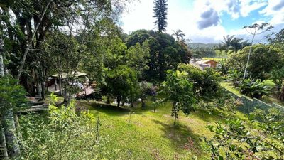 Chácara, 4800 m² - Foto 5