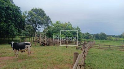 Sítio, 3 quartos, 7 hectares - Foto 2