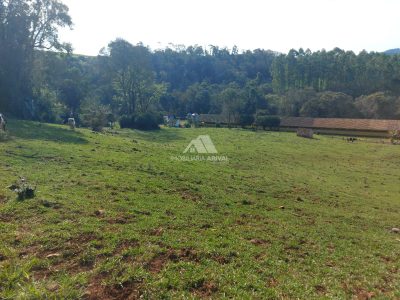 Fazenda, 24 hectares - Foto 2