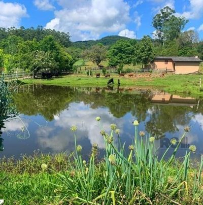 Sítio, 4 quartos, 21999 m² - Foto 4