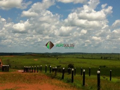 Terreno, 3 hectares - Foto 3