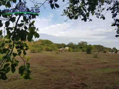 Terreno - Foto 5