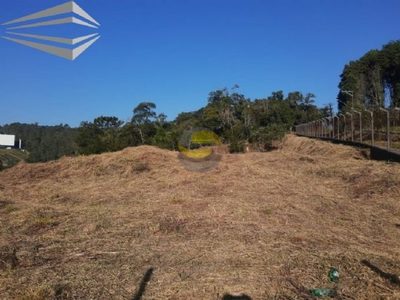 Terreno, 8000 m² - Foto 2