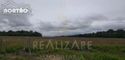 Casa, 118 m² - Foto 5