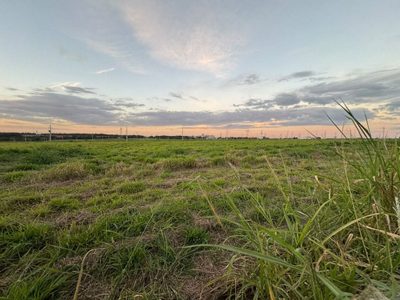Terreno, 1000 m² - Foto 4