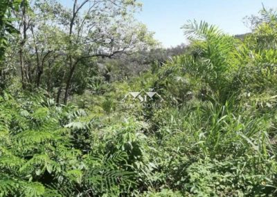 Fazenda, 2 hectares - Foto 2