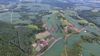 Fazenda - Foto 4