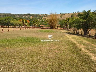 Fazenda, 2500 hectares - Foto 4