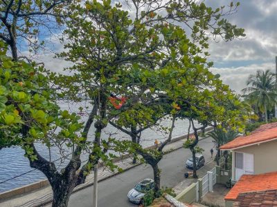 Casa, 4 quartos, 600 m² - Foto 4