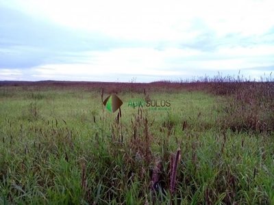 Terreno, 2950 m² - Foto 5
