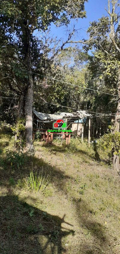 Sítio, 11 quartos, 5 hectares - Foto 4