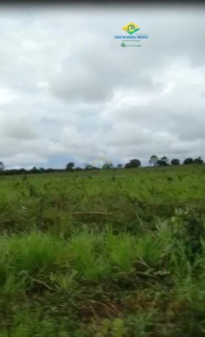 Fazenda, 2 quartos - Foto 4