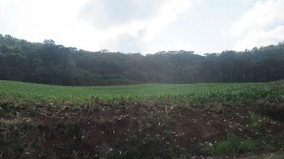 Loteamento e Condomínio, 10 hectares - Foto 1