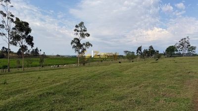 Sítio, 3 quartos, 6 hectares - Foto 3