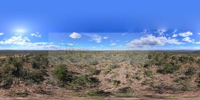 Terreno, 3 hectares - Foto 4