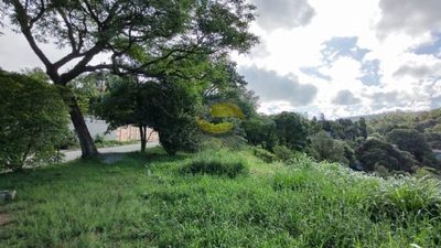 Terreno, 1500 m² - Foto 5