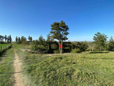 Sítio, 30 hectares - Foto 1