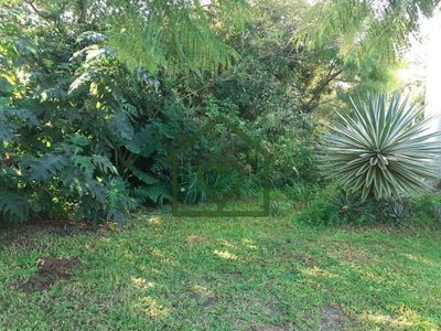 Terreno, 485 m² - Foto 3