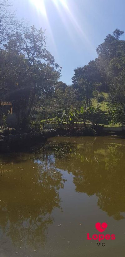 Chácara, 3 quartos, 398 m² - Foto 5