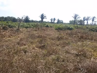 Terreno, 5000 m² - Foto 2