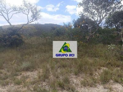 Fazenda, 1100 hectares - Foto 3