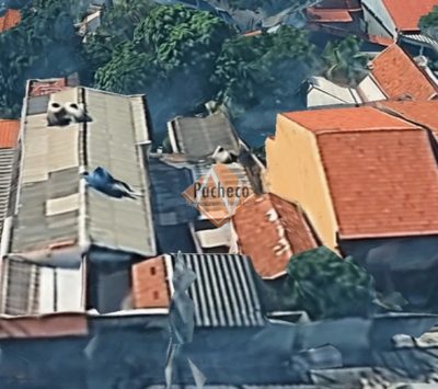 Terreno, 400 m² - Foto 2