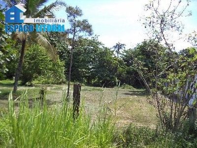 Terreno - Foto 4