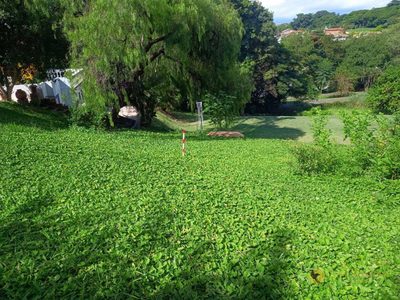 Loteamento e Condomínio, 2500 m² - Foto 2