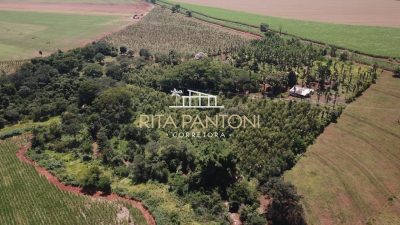 Sítio, 4 hectares - Foto 4