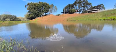 Fazenda, 24 hectares - Foto 4