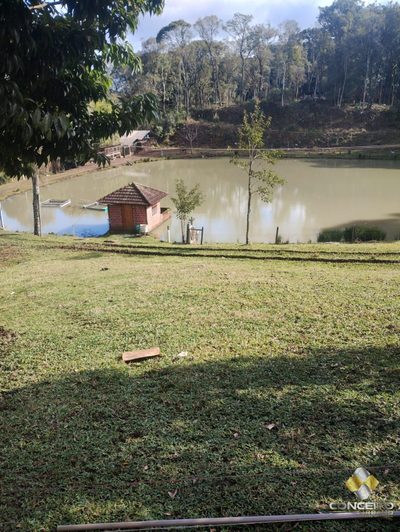 Sítio, 3 quartos, 20000 hectares - Foto 3