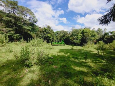 Sítio, 23 hectares - Foto 4