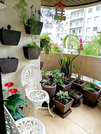 Apartamento, 3 quartos, 85 m² - Foto 3