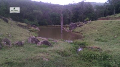 Terreno, 12 hectares - Foto 5