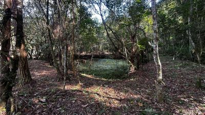 Terreno, 5000 m² - Foto 4
