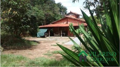 Sítio, 3 quartos, 10000 m² - Foto 4