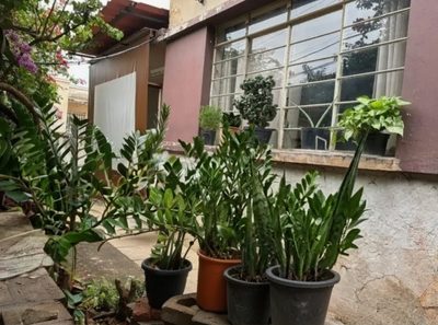Casa, 3 quartos, 96 m² - Foto 3