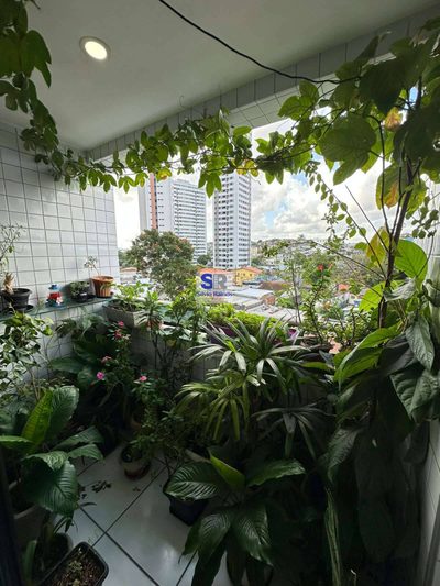 Apartamento, 3 quartos, 80 m² - Foto 4