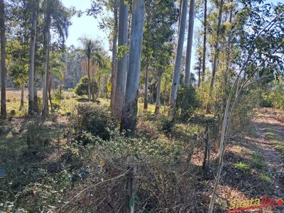 Chácara, 10 hectares - Foto 2