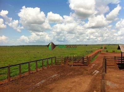 Terreno, 3 hectares - Foto 5