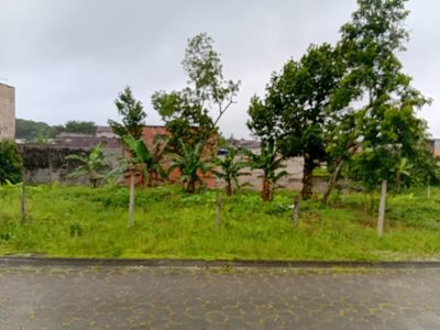 Terreno, 1000 m² - Foto 5