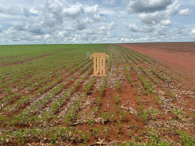 Fazenda, 3620 m² - Foto 5
