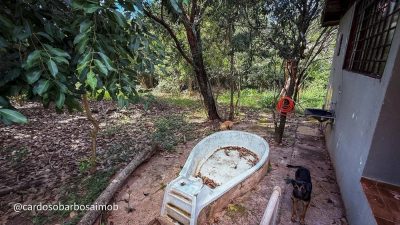 Terreno, 10000 m² - Foto 2