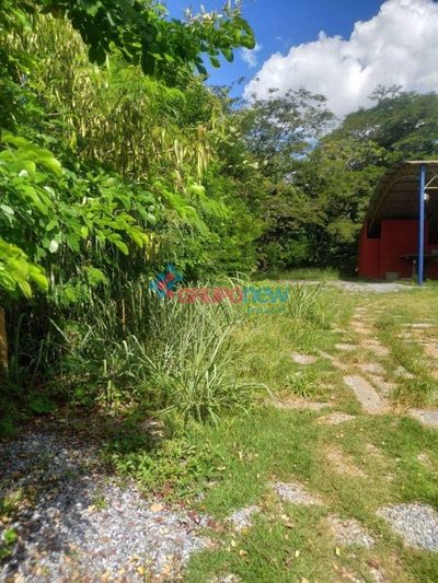 Loja-Salão, 3600 m² - Foto 5
