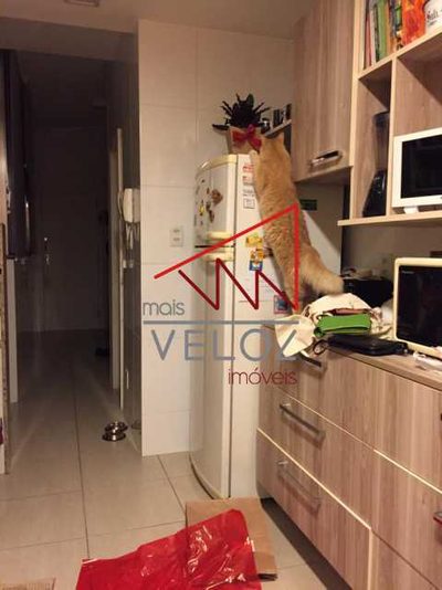 Apartamento, 3 quartos, 115 m² - Foto 1