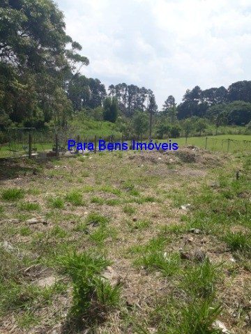 Terreno - Foto 3