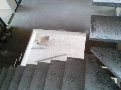 Sobrado, 4 quartos, 729 m² - Foto 5