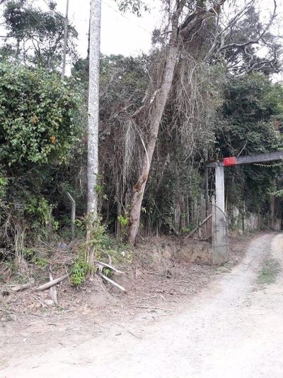 Terreno, 6000 m² - Foto 1