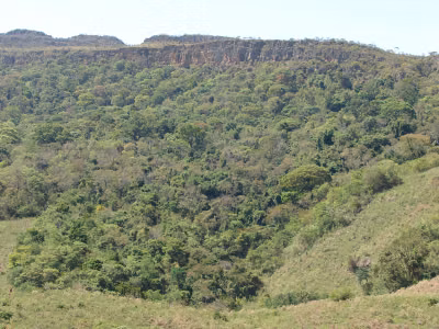 Terreno, 19 hectares - Foto 1
